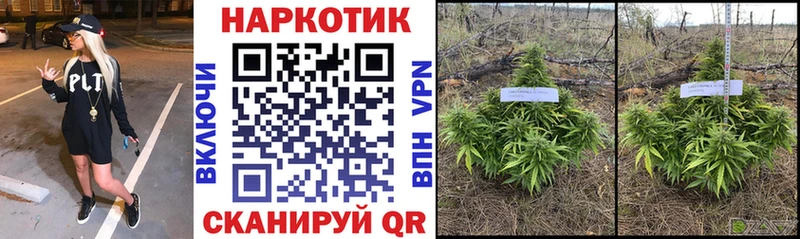 Наркота Тамбов Cocaine Меф АМФ ГАШИШ A PVP