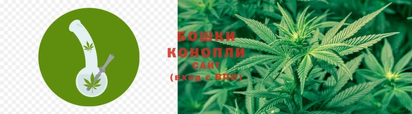 apvp Арсеньев
