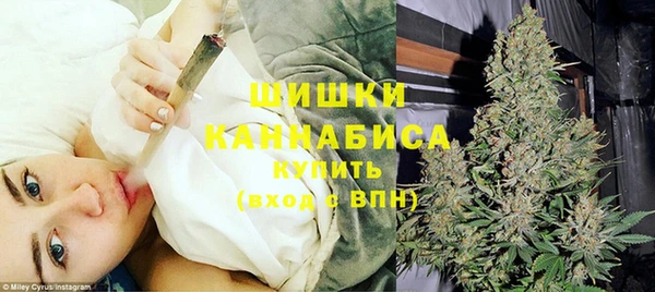 трава Аркадак